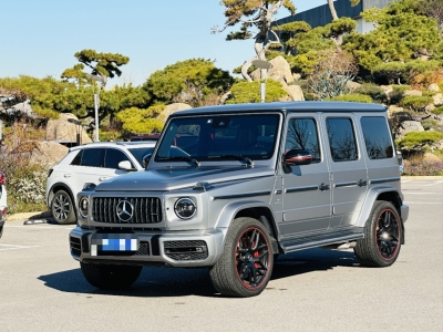 2019年3月 奔馳 奔馳G級AMG 改款 AMG G 63 先型特別版圖片