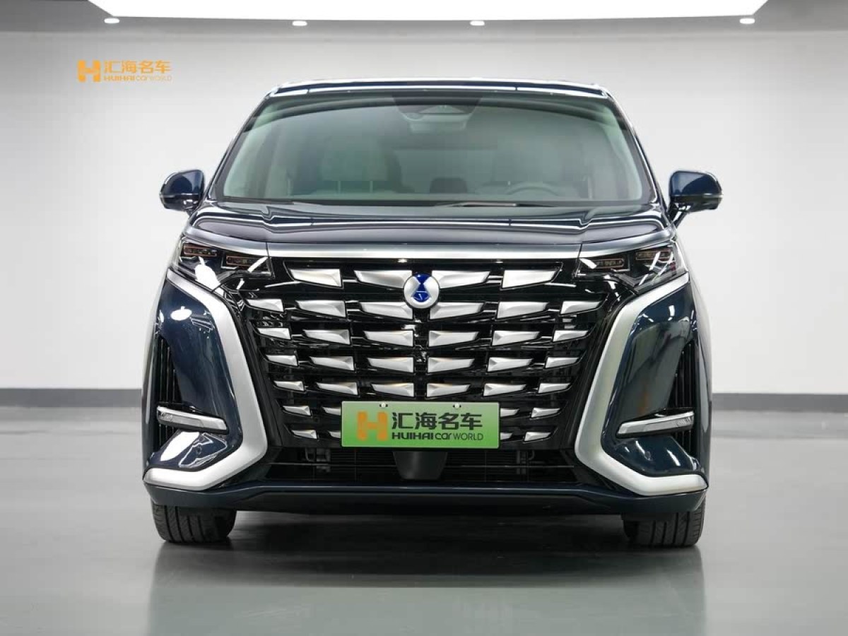 騰勢 騰勢D9  2022款 DM-i 1040 尊貴型圖片