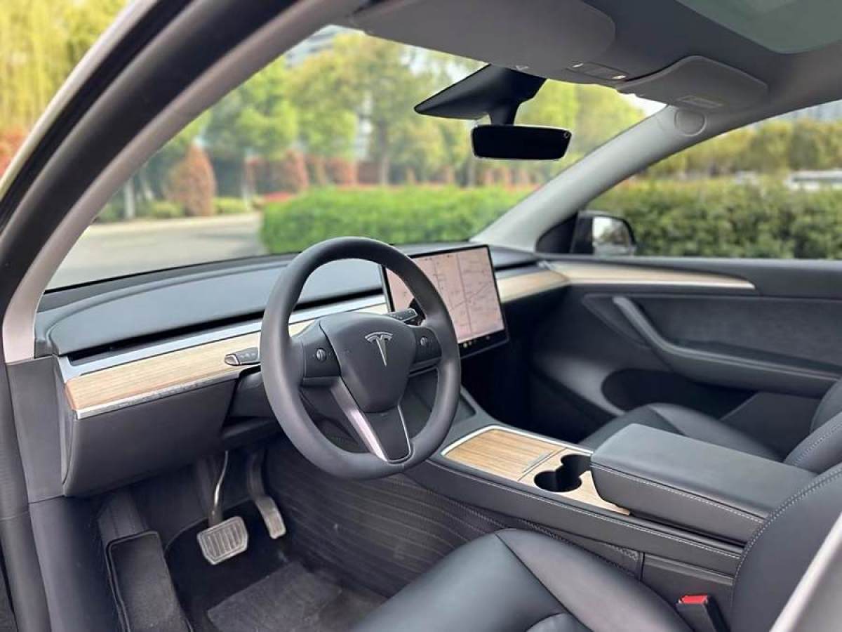 特斯拉 Model Y  2020款 改款 長續(xù)航后輪驅(qū)動版圖片