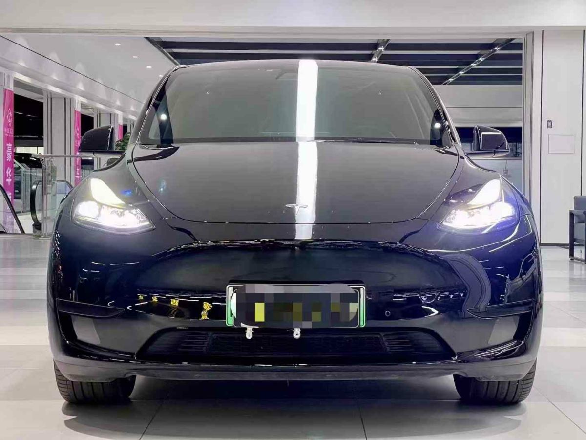 特斯拉 Model S  2023款 三電機(jī)全輪驅(qū)動(dòng) Plaid版圖片