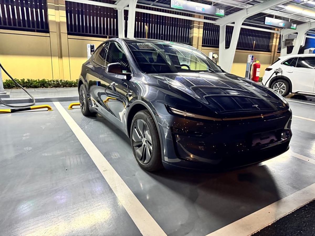 特斯拉 Model 3  2020款 改款 長(zhǎng)續(xù)航后輪驅(qū)動(dòng)版圖片