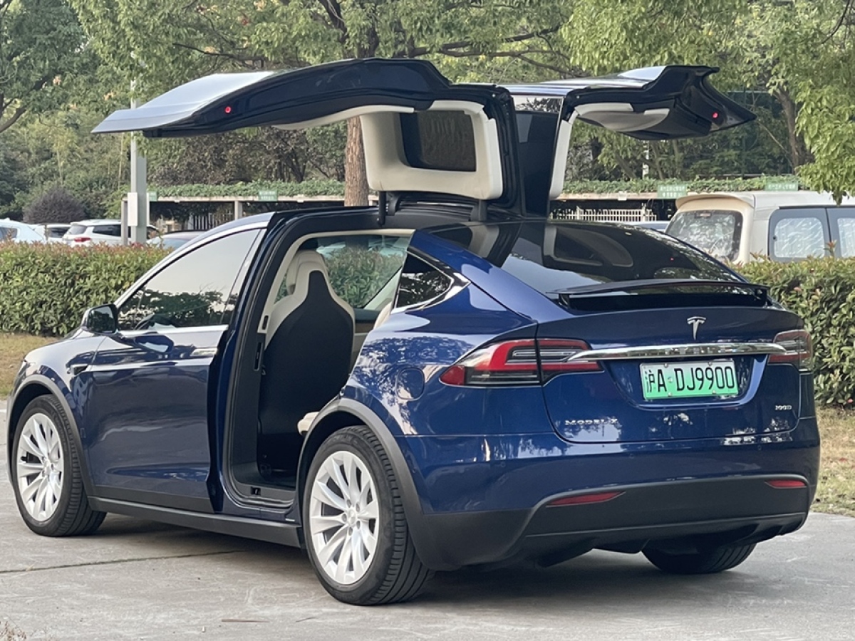 【上海】2019年04月 特斯拉 model x 2019款 標準續航版 藍色 自動檔