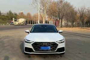 奧迪A7L 奧迪 45 TFSI quattro S-line 黑武士版