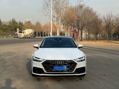 2024年1月 奧迪 奧迪A7L 45 TFSI quattro S-line 黑武士版圖片