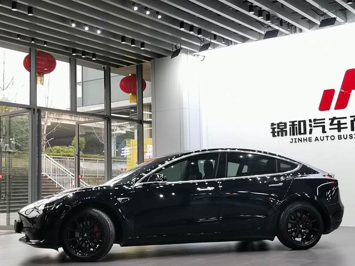 特斯拉 Model 3  2020款 改款 標準續(xù)航后驅(qū)升級版圖片