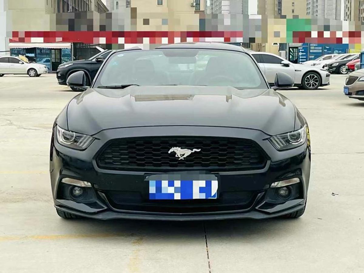 福特 Mustang  2015款 2.3T 性能版圖片