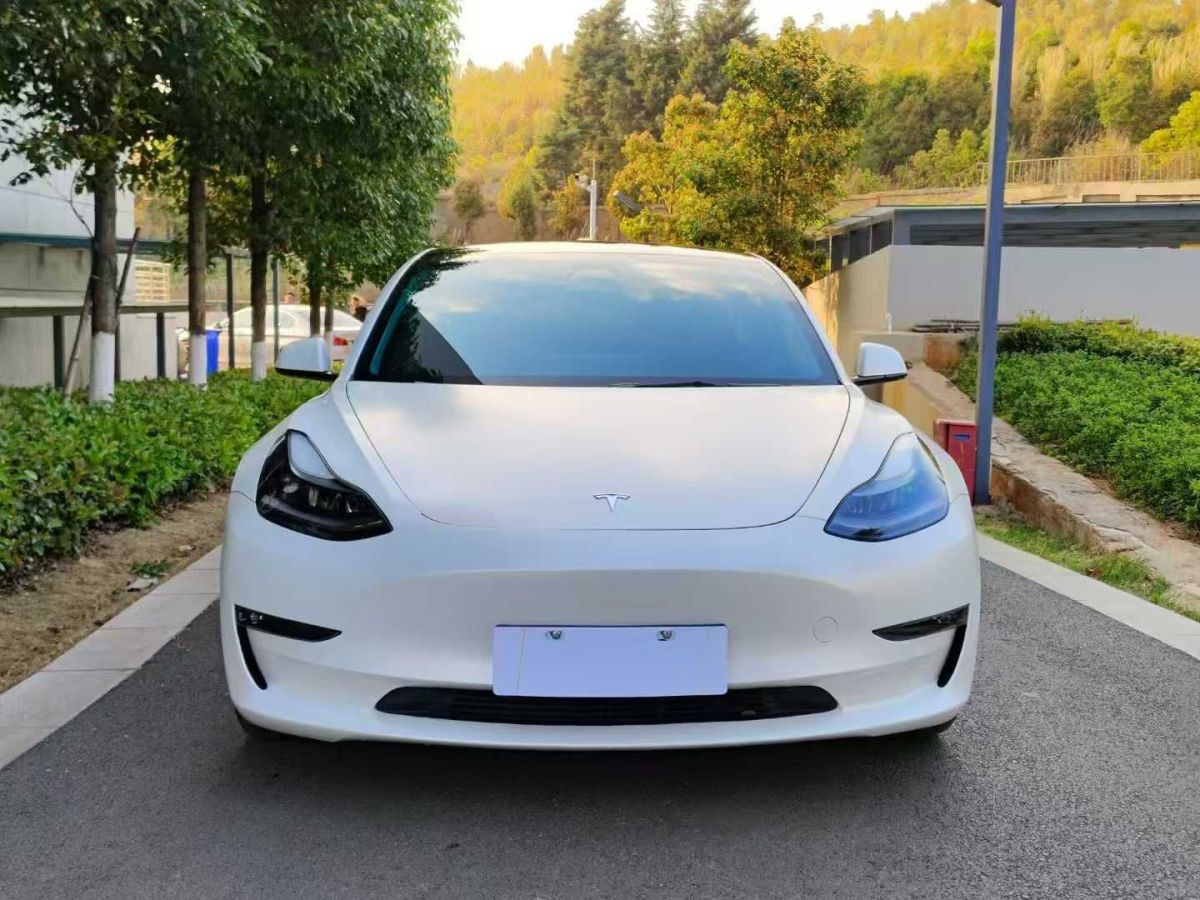 特斯拉 Model S  2021款 長(zhǎng)續(xù)航升級(jí)版圖片