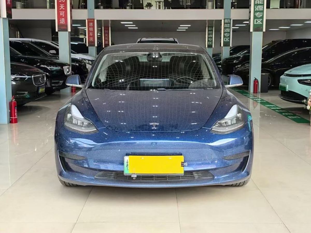 特斯拉 Model 3  2020款 改款 標(biāo)準(zhǔn)續(xù)航后驅(qū)升級(jí)版圖片