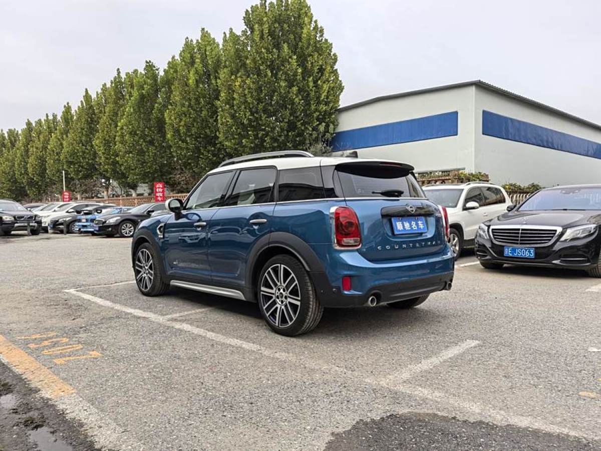 MINI COUNTRYMAN  2019款 2.0T COOPER S ALL4 藝術(shù)家圖片