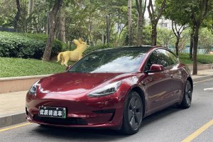 Model 3 特斯拉 标准续航后驱升级版