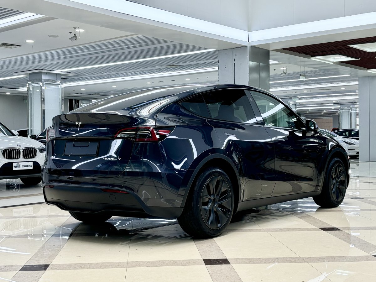 特斯拉 Model Y  2020款 改款 長續(xù)航后輪驅(qū)動版圖片