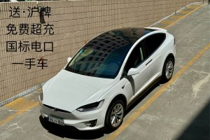 Model X 特斯拉 Model X 75D