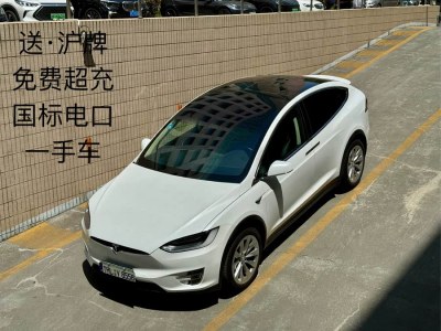 2018年8月 特斯拉 Model X Model X 75D圖片