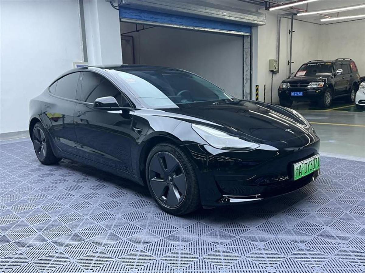 特斯拉 Model Y  2021款 标准续航后驱升级版 3D6图片