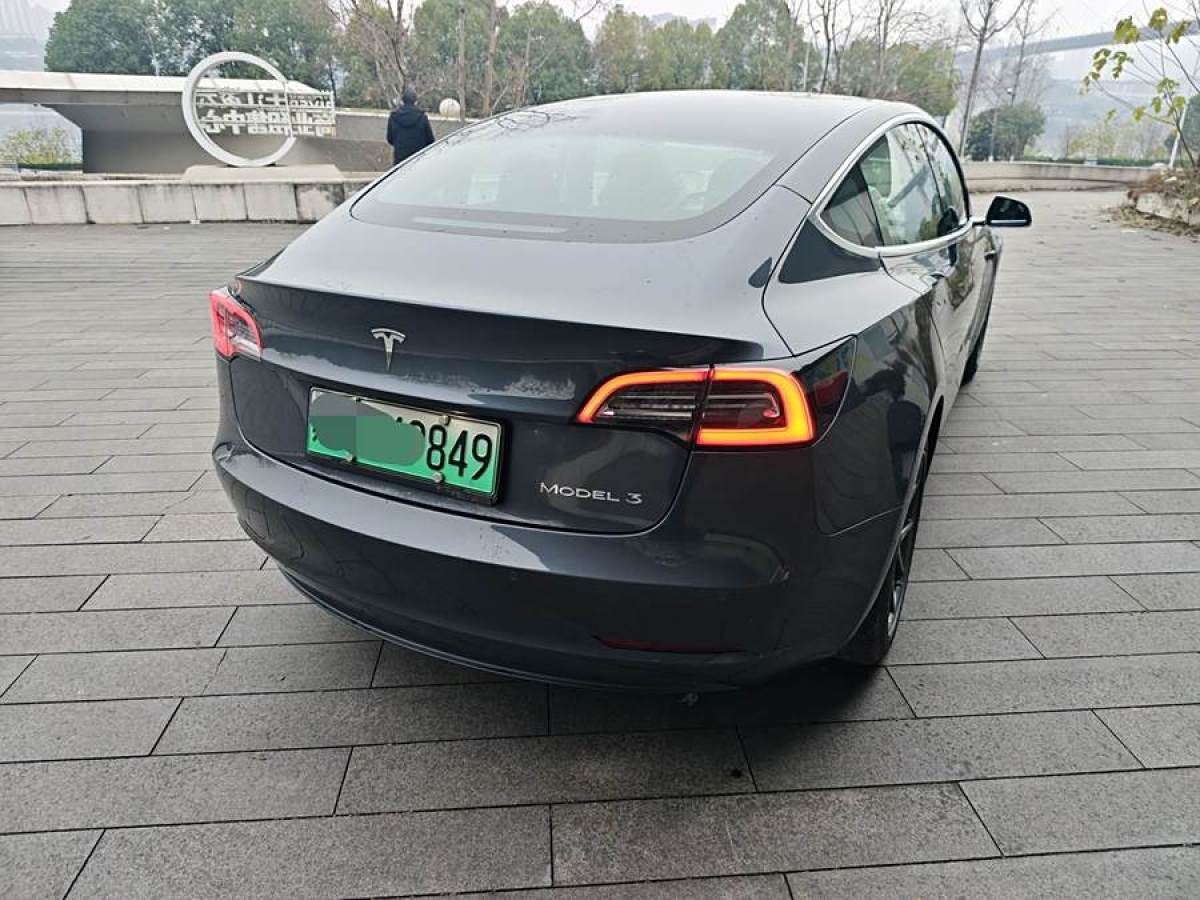 特斯拉 Model 3  2019款 標(biāo)準(zhǔn)續(xù)航后驅(qū)升級版圖片