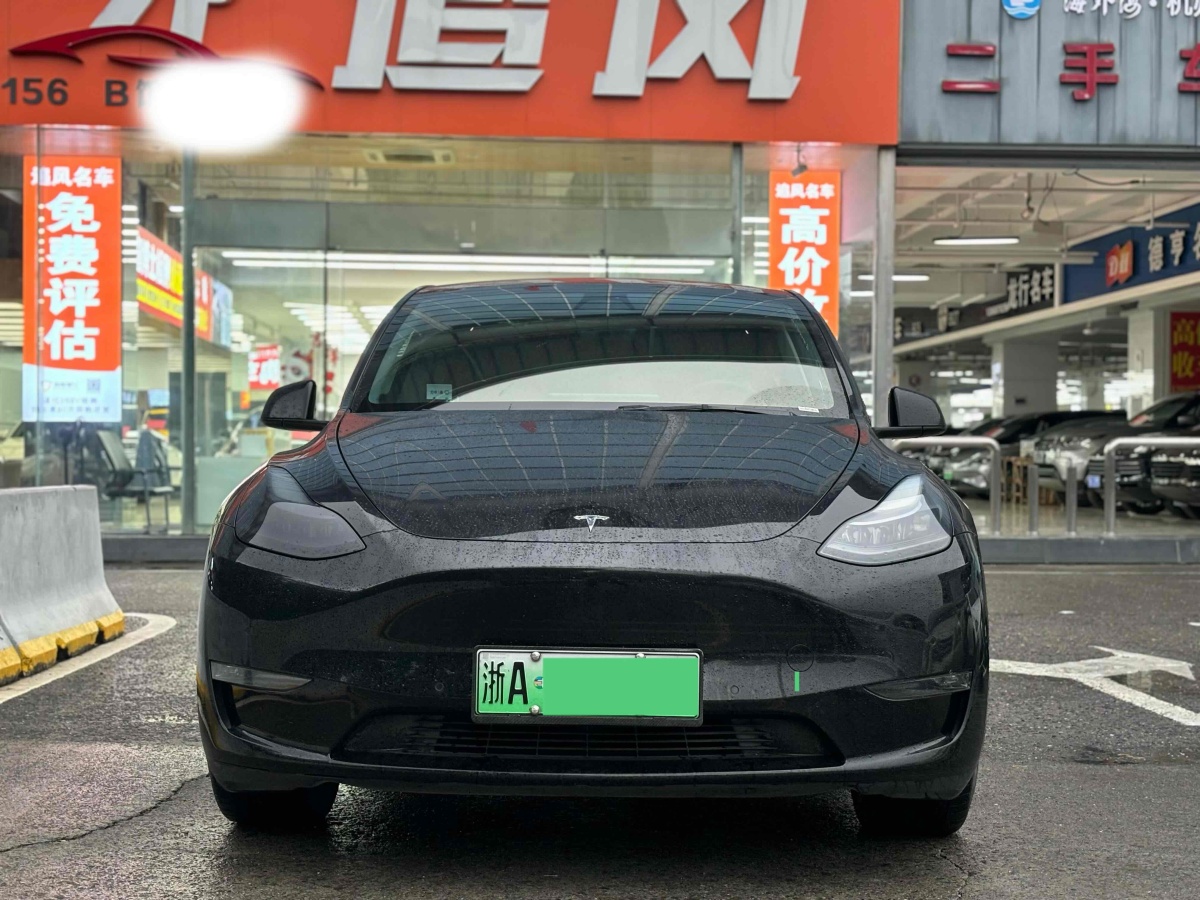 特斯拉 Model Y  2021款 改款 標準續(xù)航后驅(qū)升級版圖片