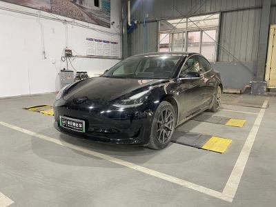 2020年8月 特斯拉 Model 3 改款 标准续航后驱升级版图片