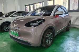 五菱繽果 五菱 333km 靈犀互聯(lián)+款