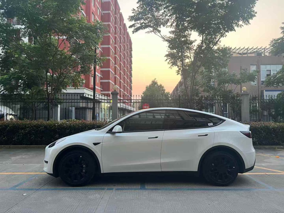 特斯拉 Model S  2023款 三電機(jī)全輪驅(qū)動(dòng) Plaid版圖片