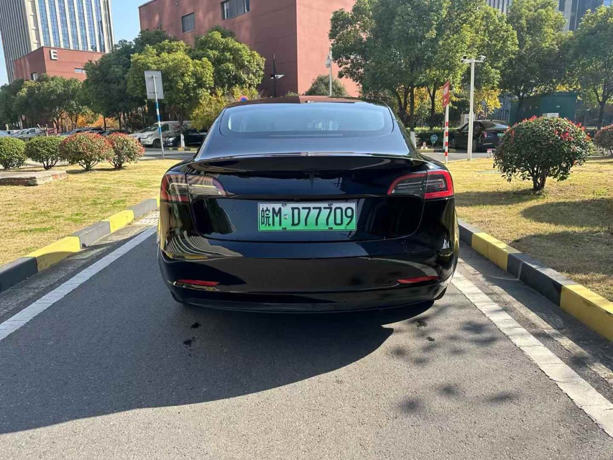 特斯拉 Model S  2023款 三電機(jī)全輪驅(qū)動(dòng) Plaid版圖片