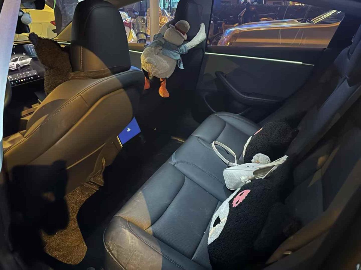 特斯拉 Model Y  2024款 Performance高性能版圖片