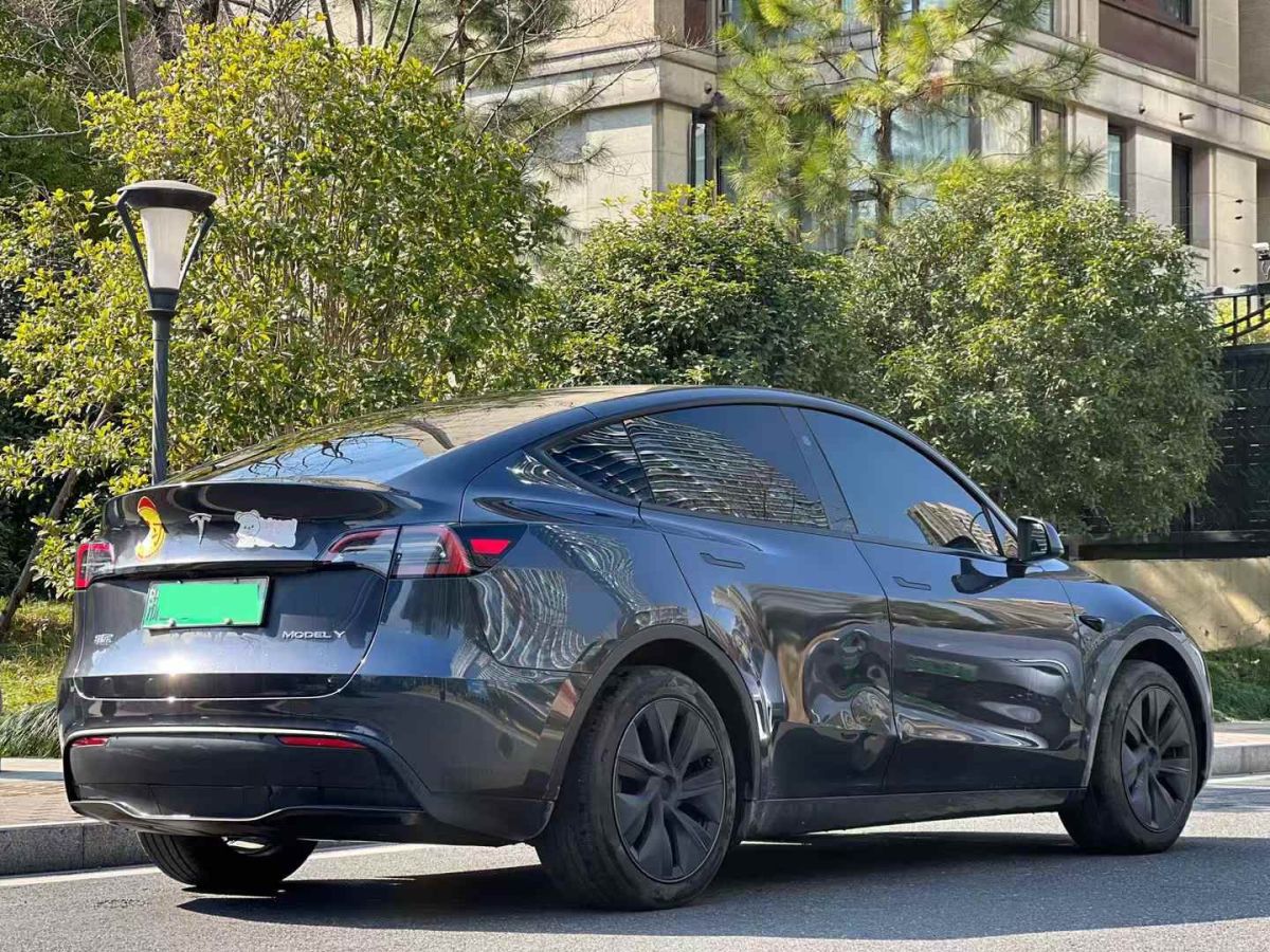 特斯拉 Model Y  2024款 Performance高性能版圖片