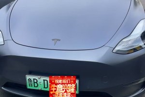 2021年8月 Model Y 特斯拉 長續(xù)航全輪驅(qū)動版 3D7