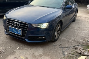 奥迪A5 奥迪 Coupe 45 TFSI