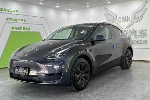 Model 3 特斯拉 改款 长续航后轮驱动版