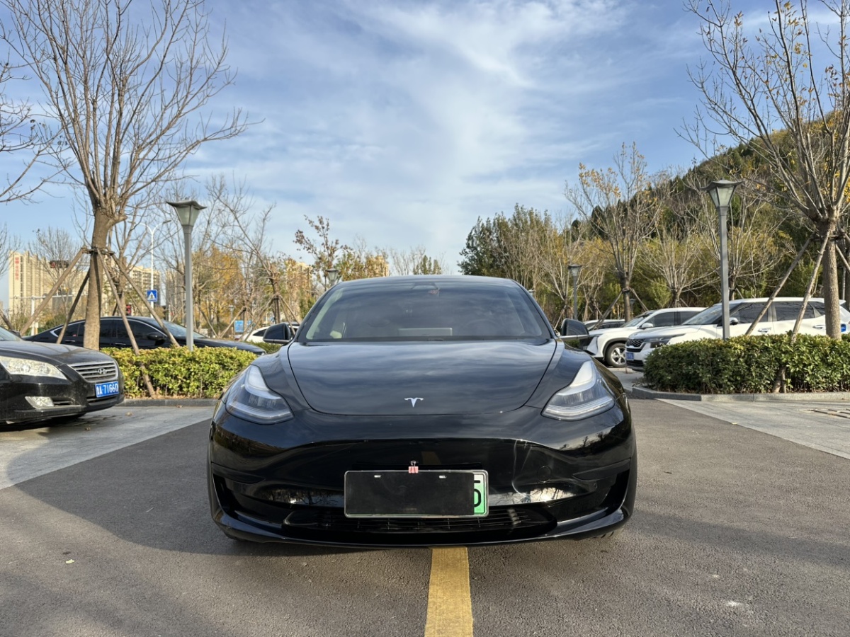 特斯拉 Model 3  2019款 標準續(xù)航后驅升級版圖片