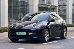 Model Y 特斯拉 改款 长续航后轮驱动版