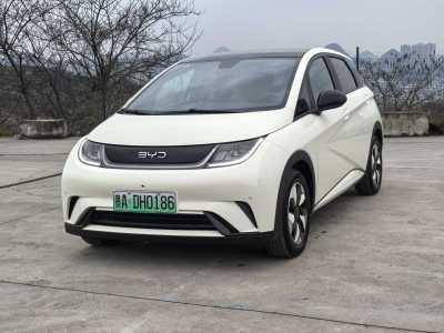 2024年8月 比亞迪 海豚 榮耀版 420km 時(shí)尚版圖片