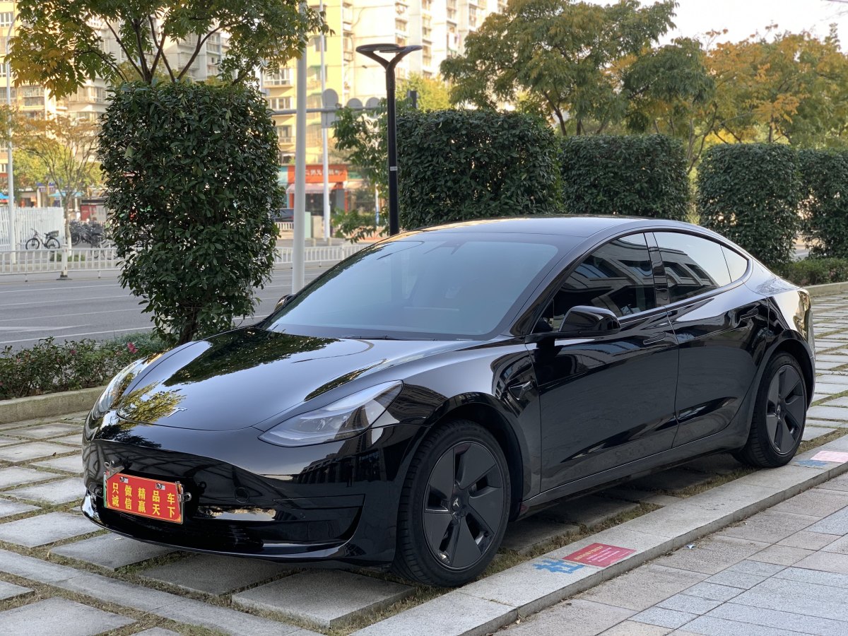 特斯拉 Model 3  2019款 標準續(xù)航后驅升級版圖片