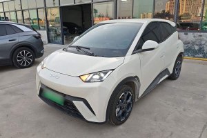 海鷗 比亞迪 305km 自由版