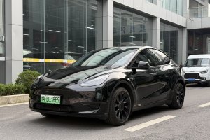 Model Y 特斯拉 改款 长续航后轮驱动版