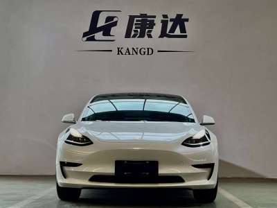 2020年1月 特斯拉 Model 3 標(biāo)準(zhǔn)續(xù)航后驅(qū)升級(jí)版圖片