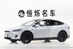 Model X 特斯拉 Model X P100D Performance高性能版