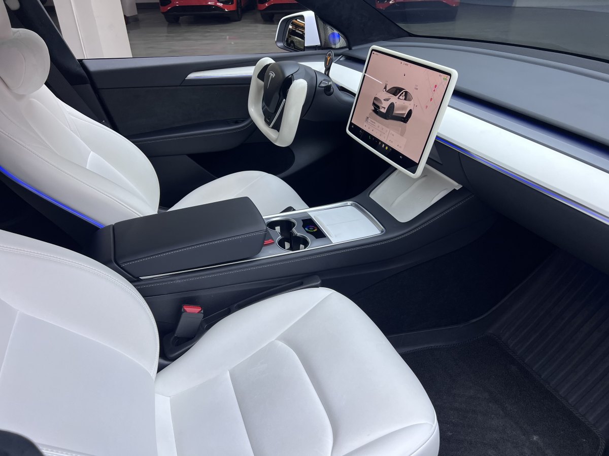 特斯拉 Model 3  2021款 改款 Performance高性能全輪驅動版圖片