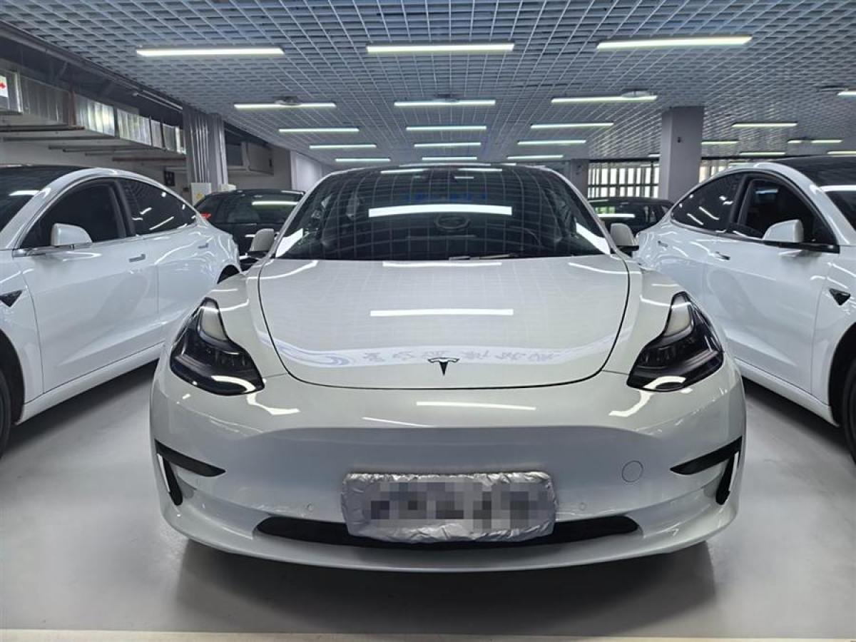 特斯拉 Model 3  2021款 改款 標(biāo)準(zhǔn)續(xù)航后驅(qū)升級版圖片