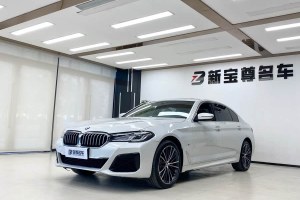 寶馬5系 寶馬 530Li 領(lǐng)先型 M運(yùn)動(dòng)套裝