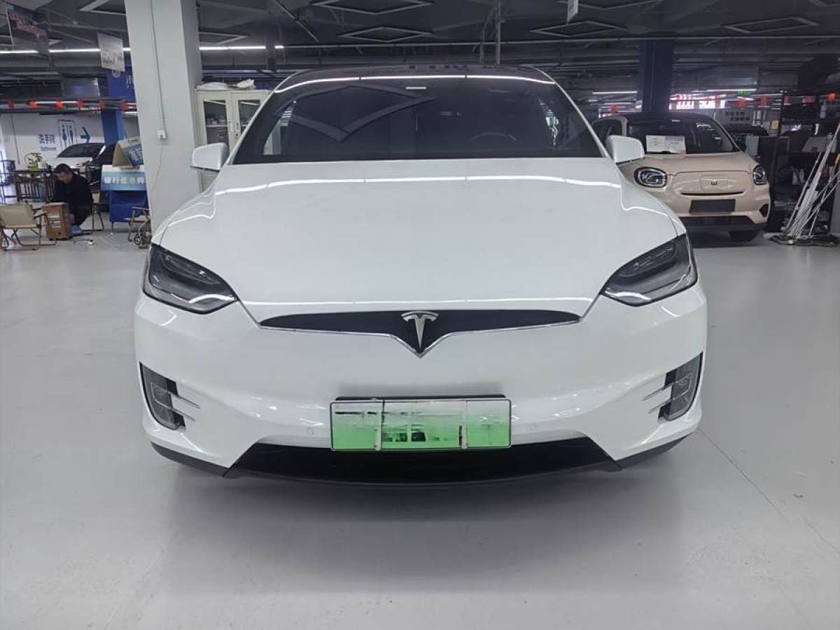 特斯拉 Model X  2019款 長續(xù)航版圖片