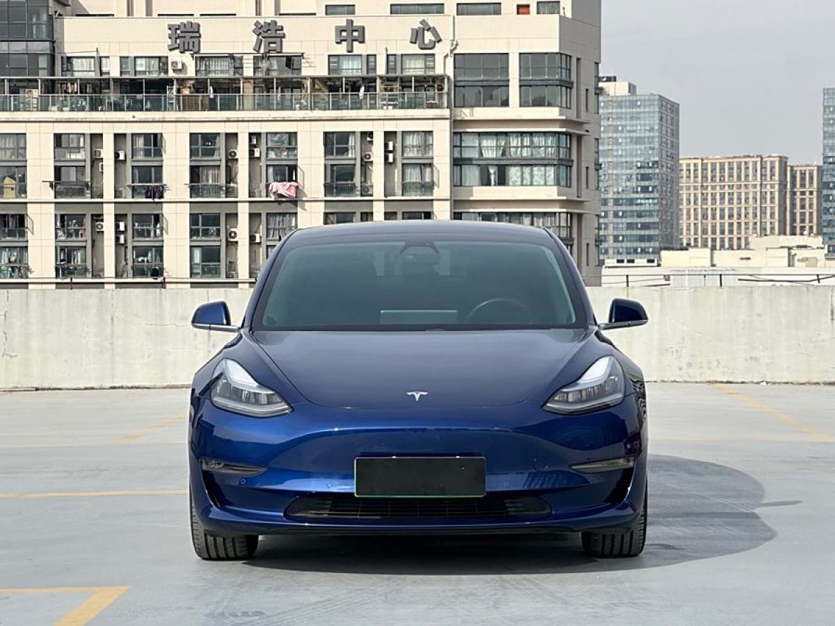 特斯拉 Model 3  2019款 長續(xù)航后驅(qū)版圖片