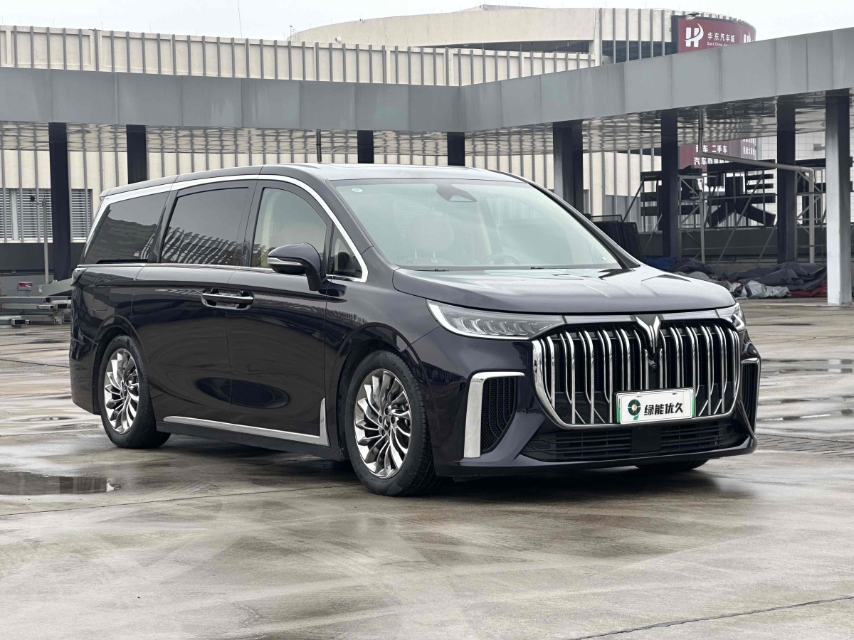 嵐圖 夢想家  2024款 PHEV 超長續(xù)航旗艦版圖片