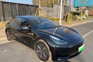 Model Y 特斯拉 改款 后輪驅(qū)動版