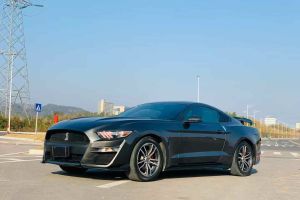 Mustang 福特 2.3L EcoBoost