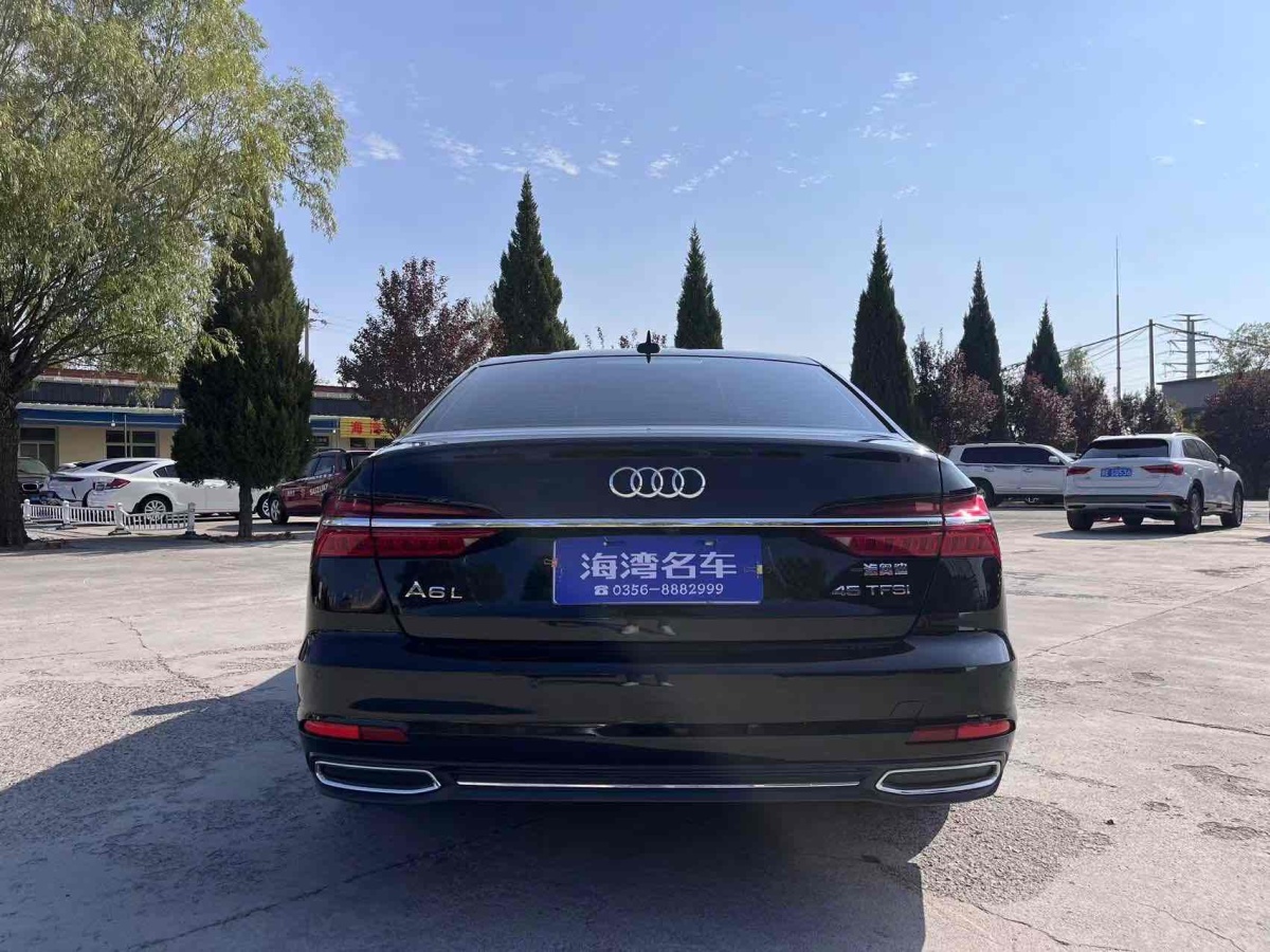 2019年9月奧迪 奧迪A6L  2019款 45 TFSI 臻選致雅型