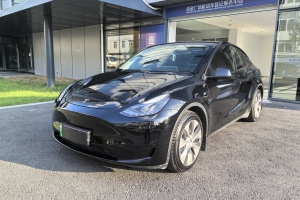 Model Y 特斯拉 后輪驅(qū)動版