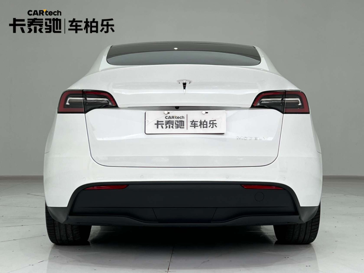 特斯拉 Model 3  2021款 標準續(xù)航后驅版圖片