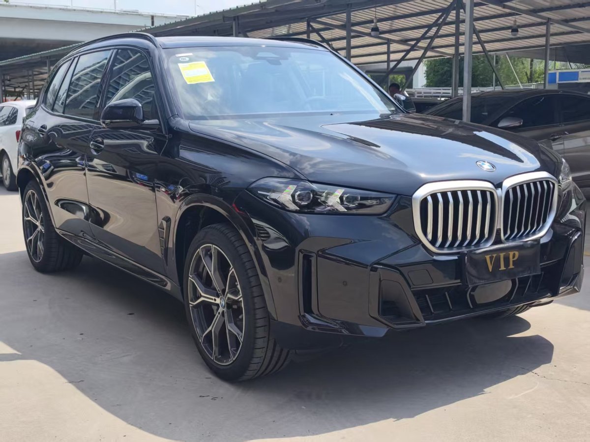 寶馬 寶馬X5  2023款 xDrive 30Li 尊享型M運(yùn)動(dòng)曜夜套裝圖片