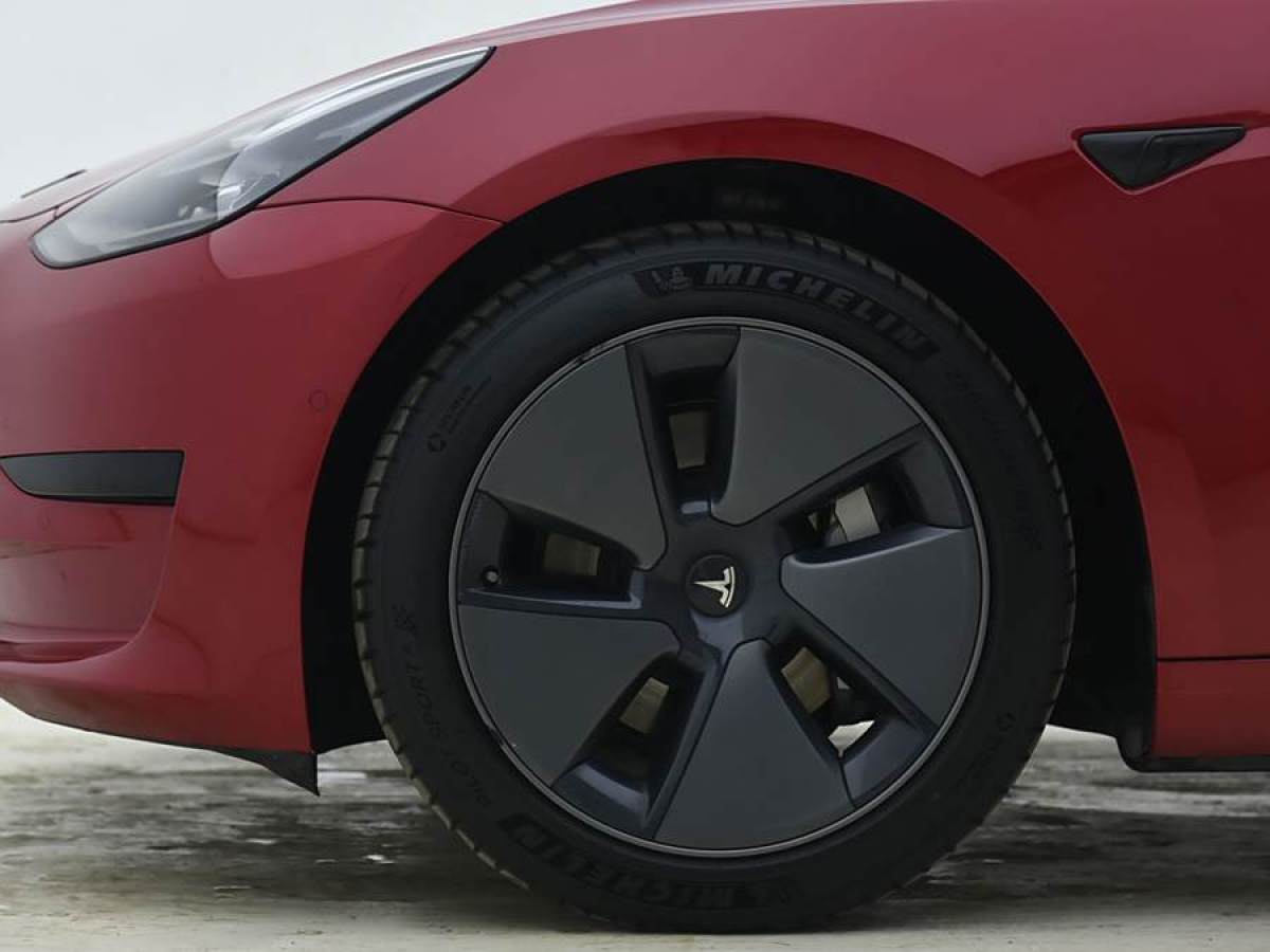 特斯拉 Model 3  2019款 標(biāo)準(zhǔn)續(xù)航后驅(qū)升級(jí)版圖片